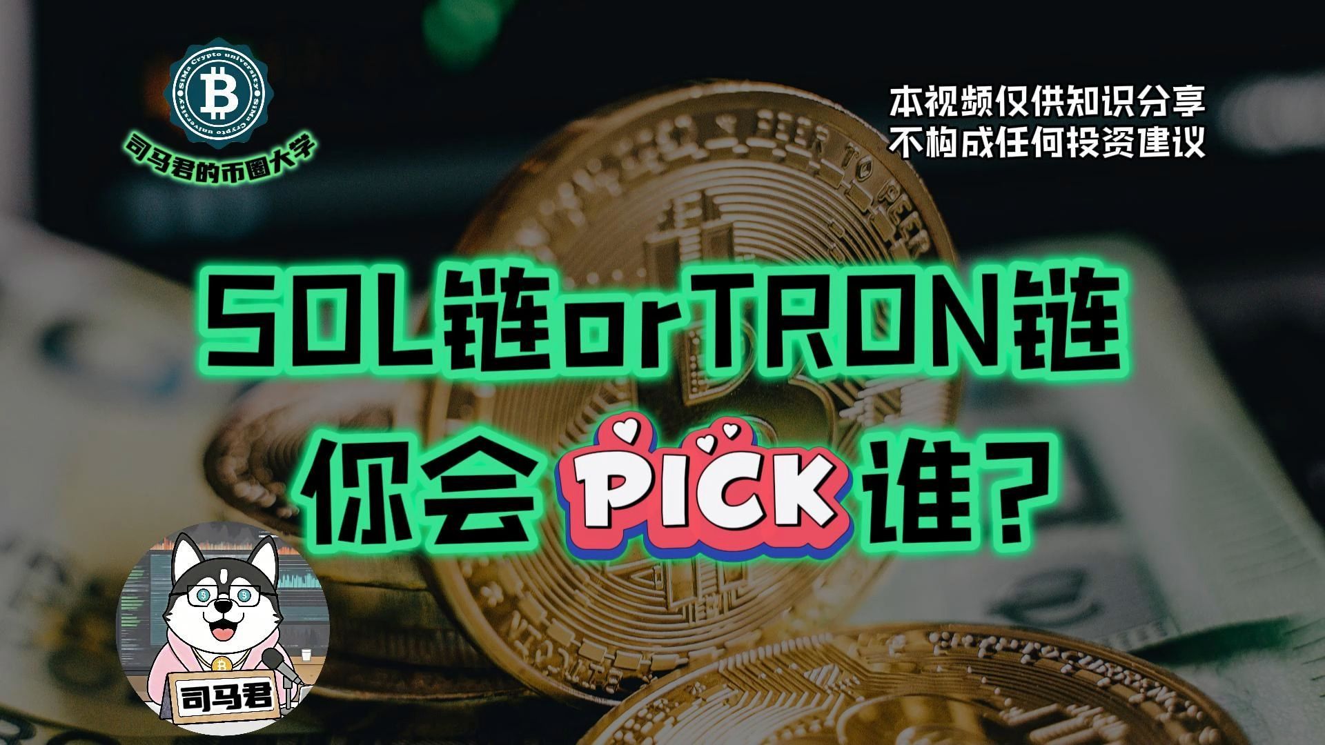 关于专家认为，公链交易量再创新高的信息